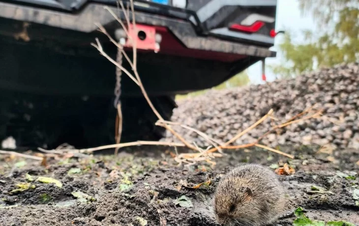 ​Немного свекольной погоды в фотографиях подписчика