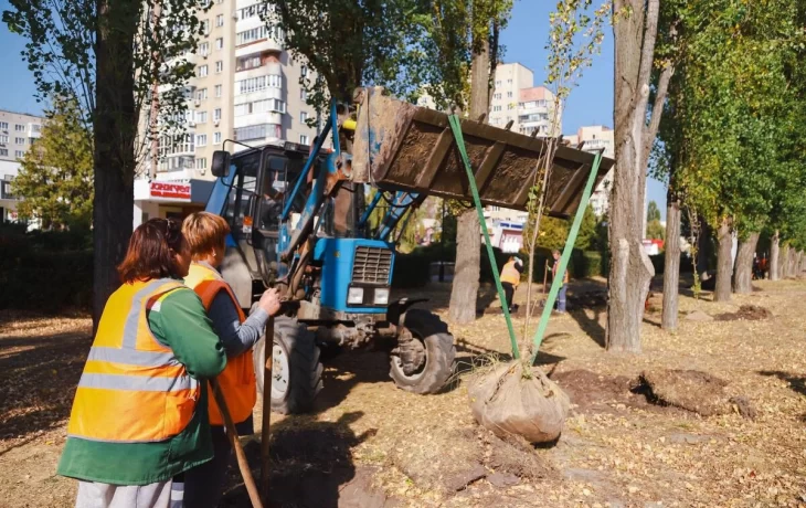 ​В Липецке продолжают высаживать деревья