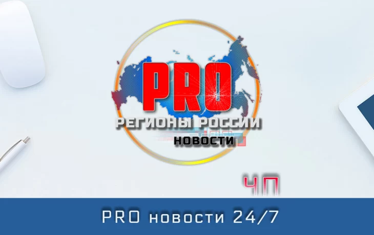 В Котовске мужчина погиб в результате падения дерева