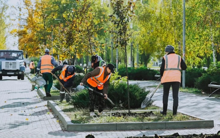 В Липецке продолжается озеленение